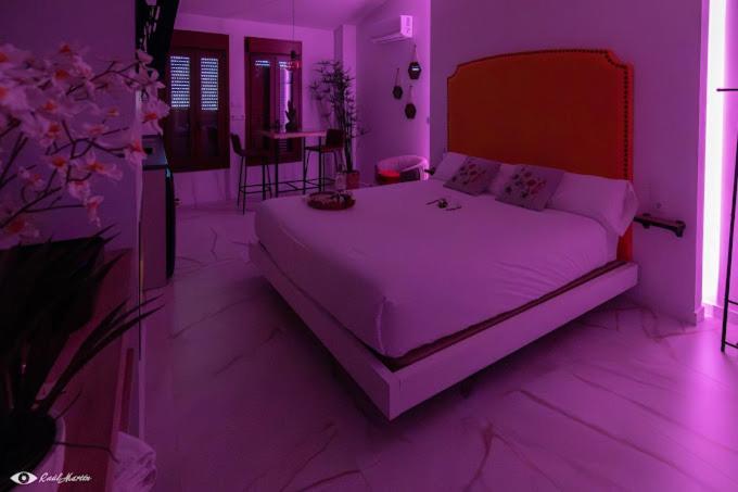 Appartement Loft Tu Y Yo *